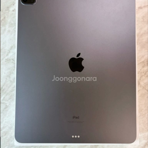아이패드 프로 12.9인치 5세대 256기가 M1 S