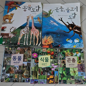 와이즈팍스 포켓도감 3종 외 동물도감 등