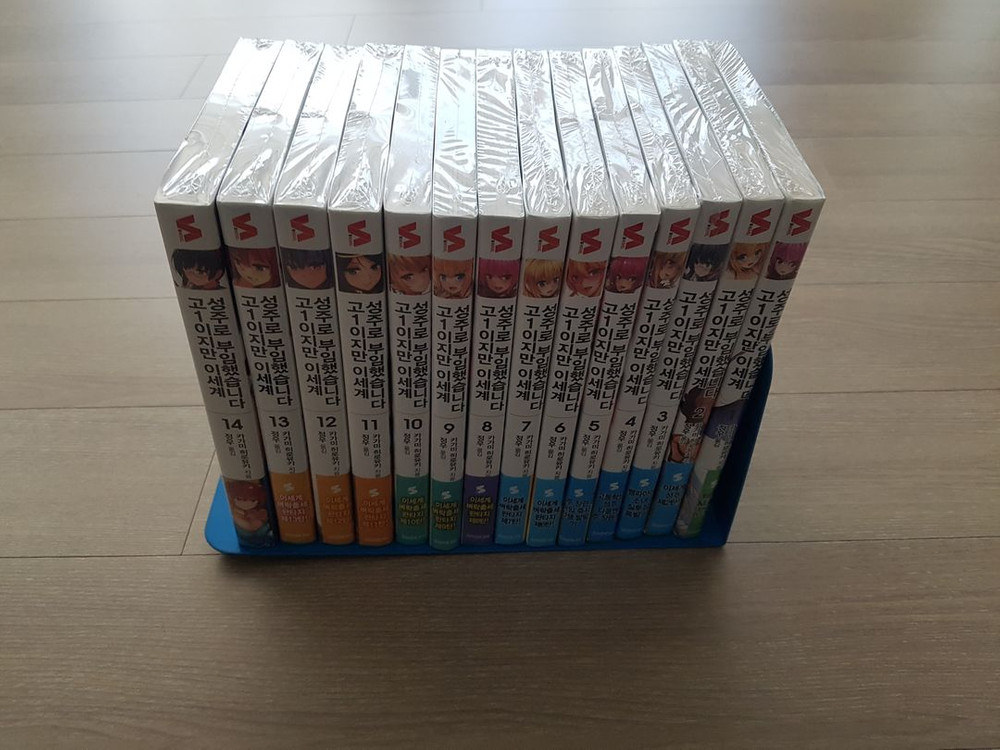 [미개봉]고1이지만 이세계 성주로 부임했습니다(라노벨) 팝니다 이미지