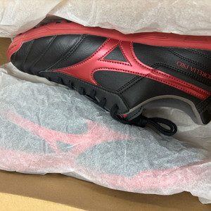 [250] 미즈노 모렐리아2 프로AS