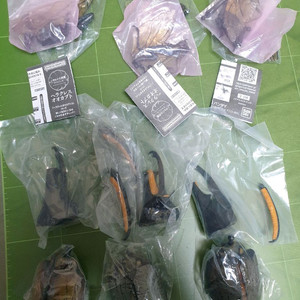 생물대도감 어드밴스 헤라클레스 3종 세트 캡슐판 미개봉