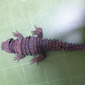 생물대도감 어드밴스 아르마딜로 블랙