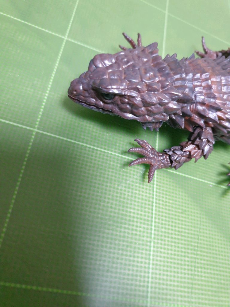 생물대도감 어드밴스 아르마딜로 블랙--1