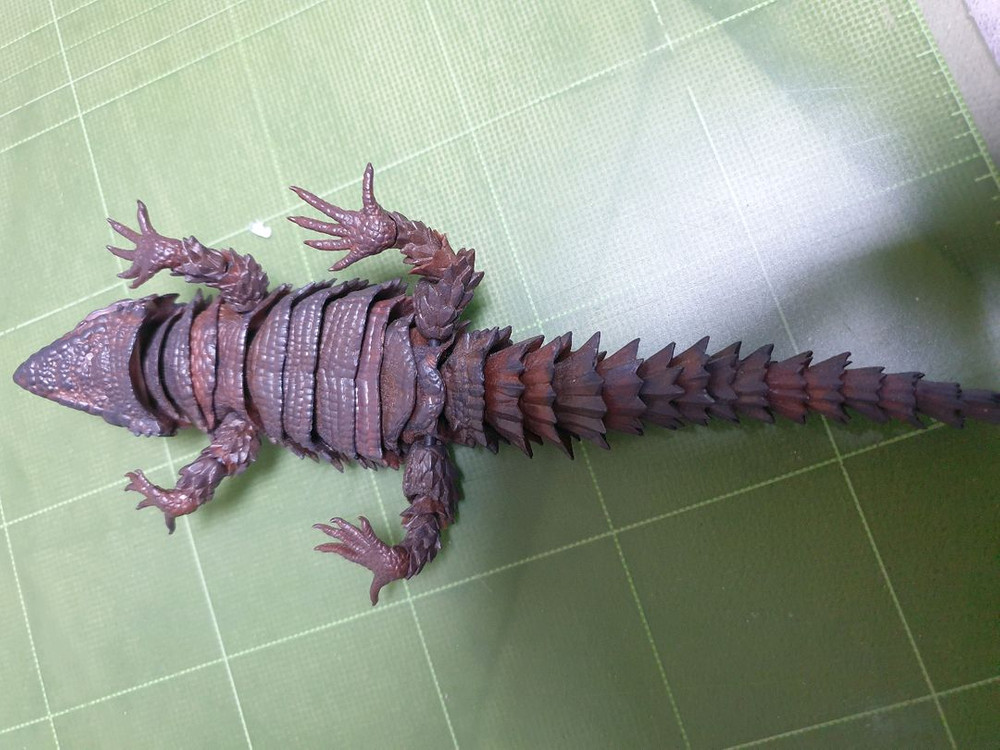 생물대도감 어드밴스 아르마딜로 블랙--2