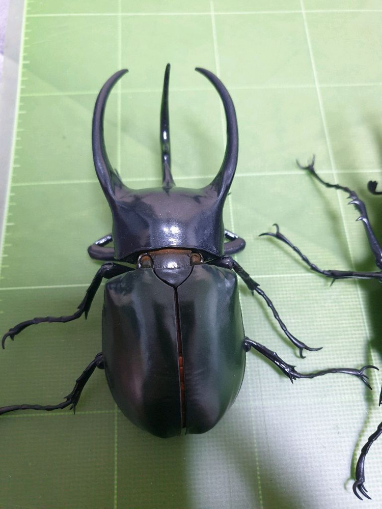 생물대도감 어드밴스 코카서스 3종세트 캡슐판--2