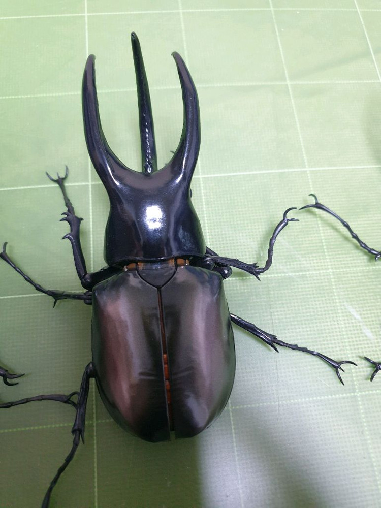 생물대도감 어드밴스 코카서스 3종세트 캡슐판--3