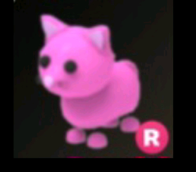 입양하세요 펫 판매합니다~ 이미지