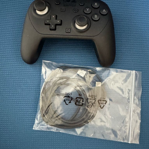 닌텐도 스위치2 프로콘2 프로컨2