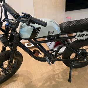 전기자전거 마이클 블라스트 아웃사이더 MX 거의 안탄 S급 판매합니다. (OUTSIDER MX 48V 500W)