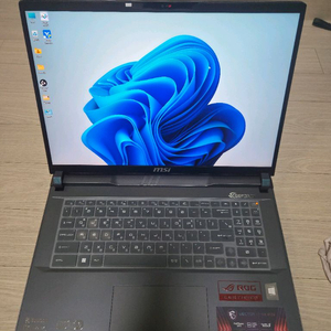 msi벡터17hx게이밍 노트북