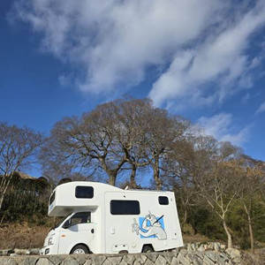 캠핑카 2024년식 이미지