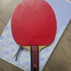 이진권ZYC. 정영식 아이스크림AZX 탁구라켓