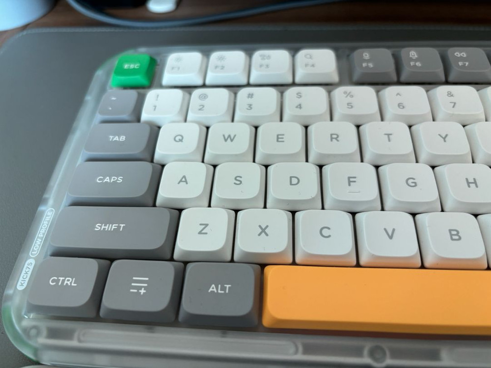 누피 킥75 & 팜레스트 팝니다 이미지