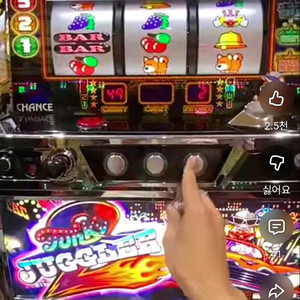 자그라 자구라 펑키자그라 팝니다