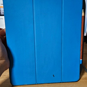 아이패드 프로 12.9 3세대 셀룰러 256 +미개봉케이스