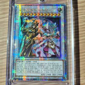 (급처!!)유희왕 결속과 연의 파라딘 쿼싴