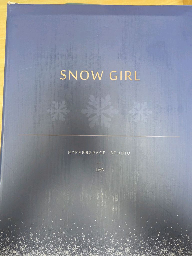 원신 신학 Hyperspace 레진 피규어 판매합니다--2