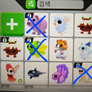 입양하세요 펫 판매합니다 이미지