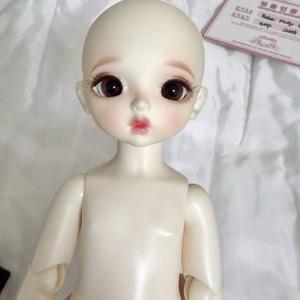 오늘만) 구체관절인형 치카비 밀크 몰리 구관 옷 가발 코스 안구 리나슈슈 이미지