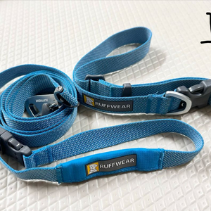 [+추가]강아지 대형견 목줄 리드줄 세트, 일체형리드줄 모음 (러프웨어 등)
