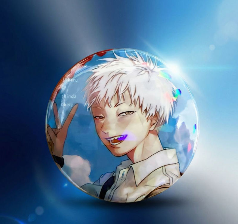 히카루가 죽은 여름 히카루 뱃지 한정판매--0