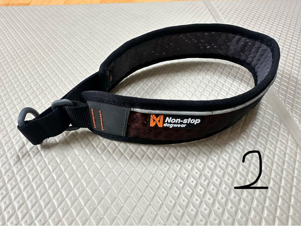 [+추가] 강아지 대형견 목줄 리드줄 모음 (러프웨어, 논스톱도그웨어 등)--1