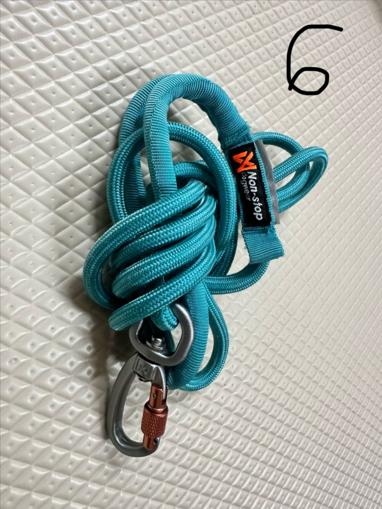 [+추가] 강아지 대형견 목줄 리드줄 모음 (러프웨어, 논스톱도그웨어 등)--5