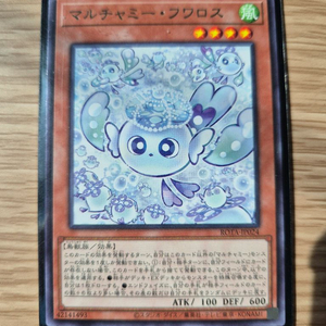 마루챠미 후와로스 일판 레어