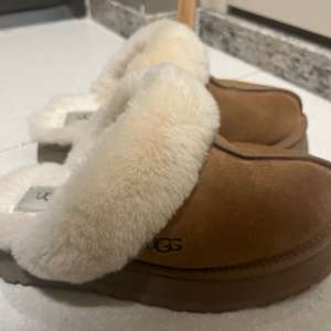 미국 어그 디스케트 체스트넛 240