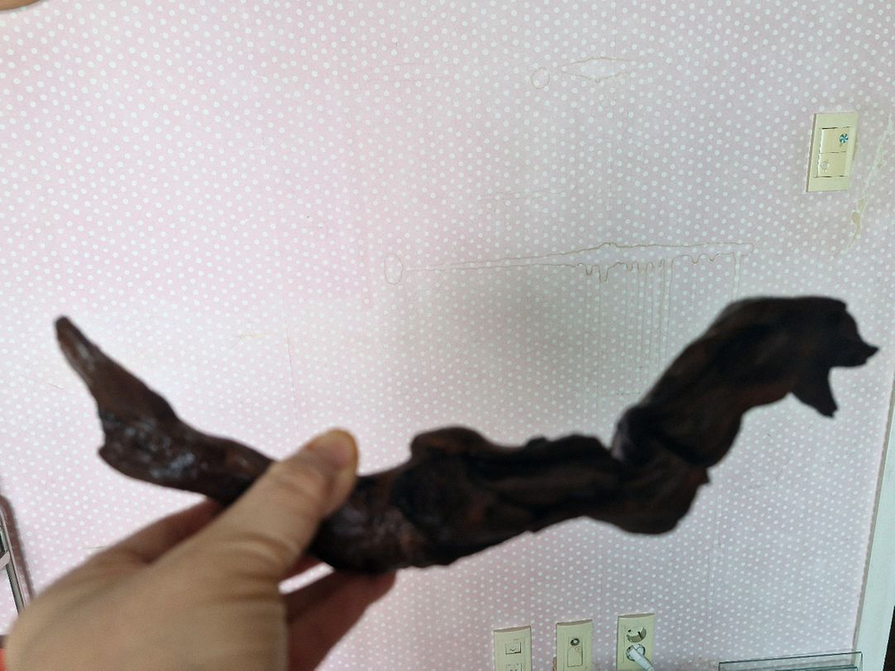 어항 장식용 유목 이미지