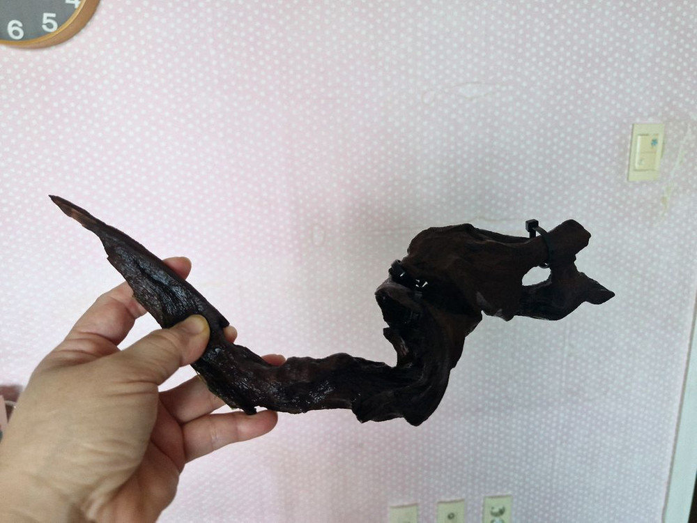 어항 장식용 유목 이미지