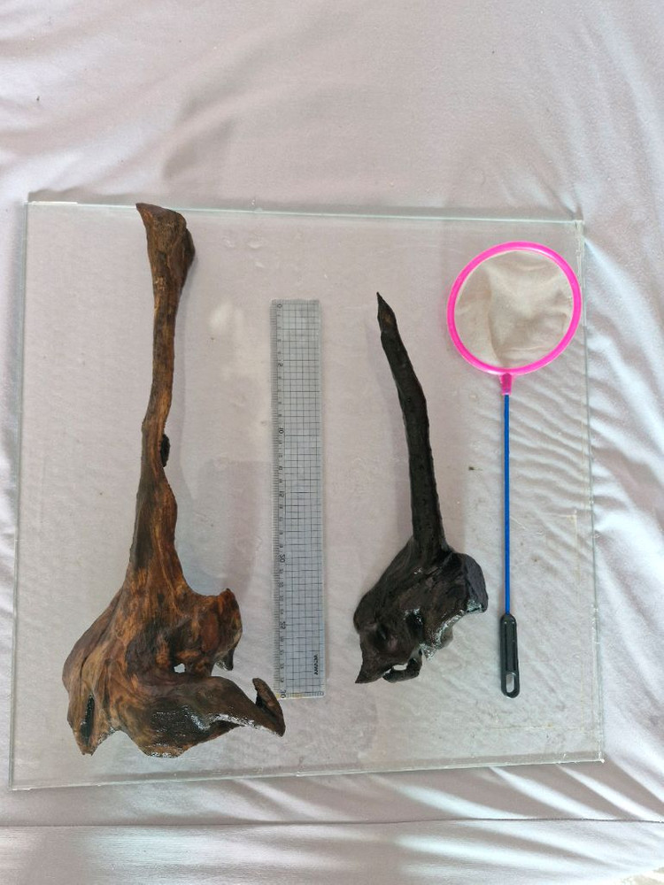 어항 장식용 유목 이미지