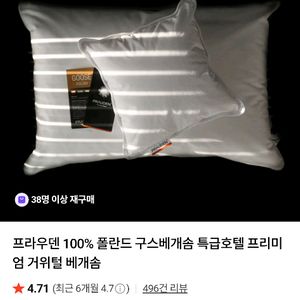 프라우덴 베개솜