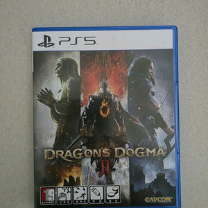 드래곤즈도그마2(택포3.0)