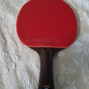 탁구 라켓 스티가 노스탤직 오펜시브 fl