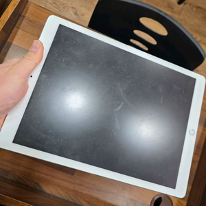 아이패드 프로2세대 12.9인치 64GB 셀룰러 이미지