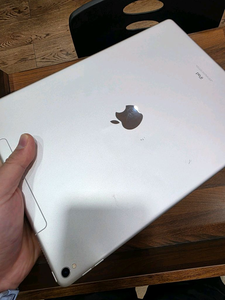 아이패드 프로2세대 12.9인치 64GB 셀룰러 이미지