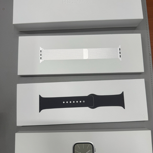 애플워치 시리즈9 셀룰러 스테인리스 45mm 판매합니다.