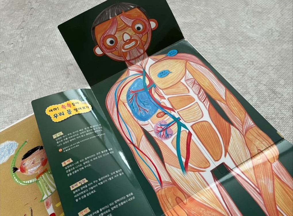 인체동화 별똥별을 타고 온 외계인 10권 (빅북, cd, 포스터 포함)--2