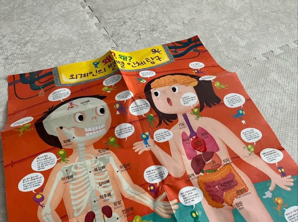 인체동화 별똥별을 타고 온 외계인 10권 (빅북, cd, 포스터 포함)--3