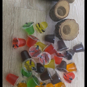 장수풍뎅이수집통