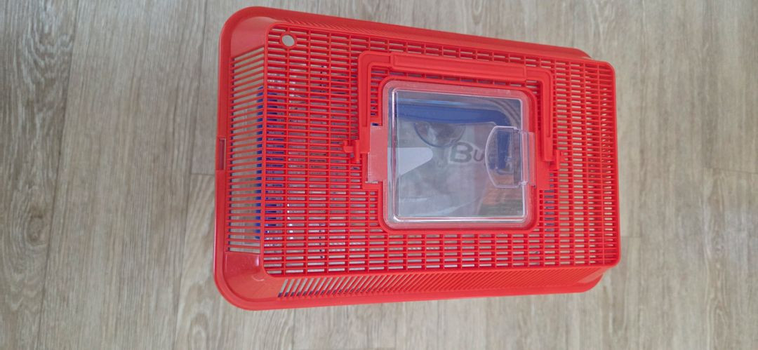 장수풍뎅이수집통--2