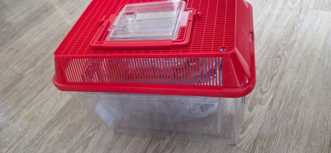 장수풍뎅이수집통--3