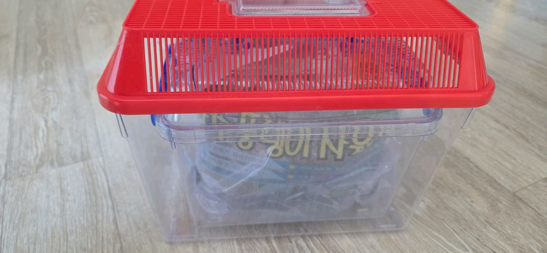 장수풍뎅이수집통--4