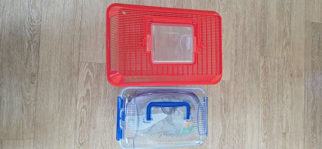 장수풍뎅이수집통--5