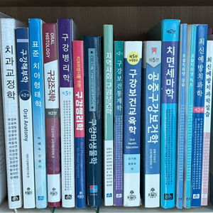 치위생과 전공책 이미지