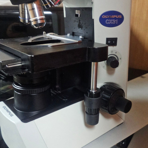 현미경,올림푸스현미경,CX31 이미지