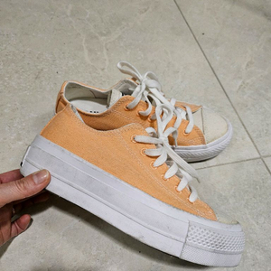 컨버스 척테일러 225