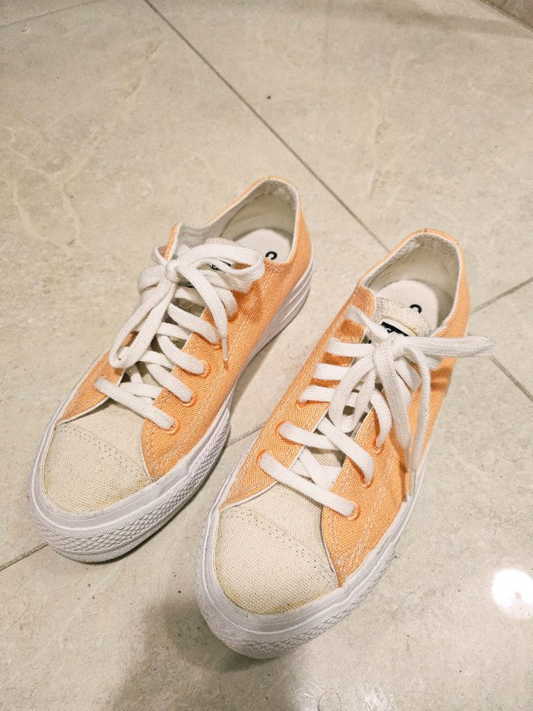 컨버스 척테일러 225--1