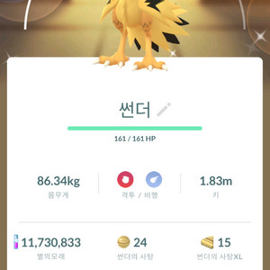 포켓몬고 이로치 가라르 썬더 이미지